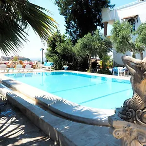 book here